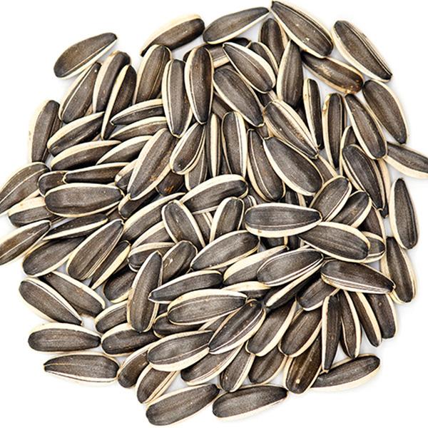 SUNFLOWER SEEDS 601