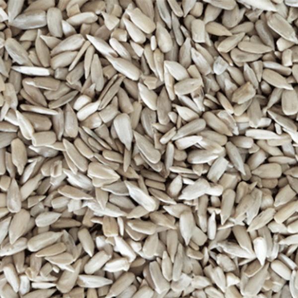 SUNFLOWER SEED KERNEL